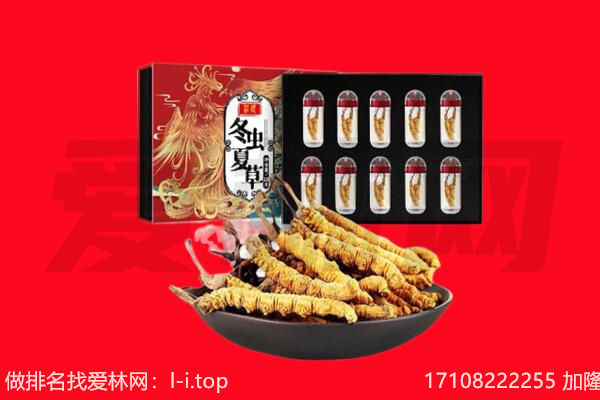 咸宁市通山回收虫草.jpg
